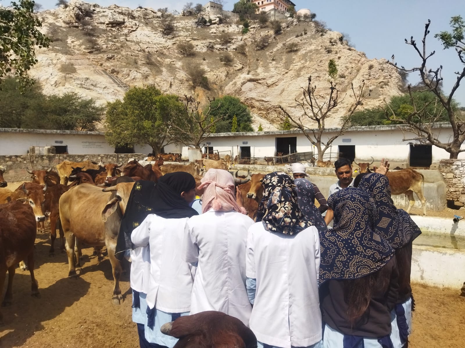 श्री जयरामपुरी गौशाला, जयपुर ग्रामीण 